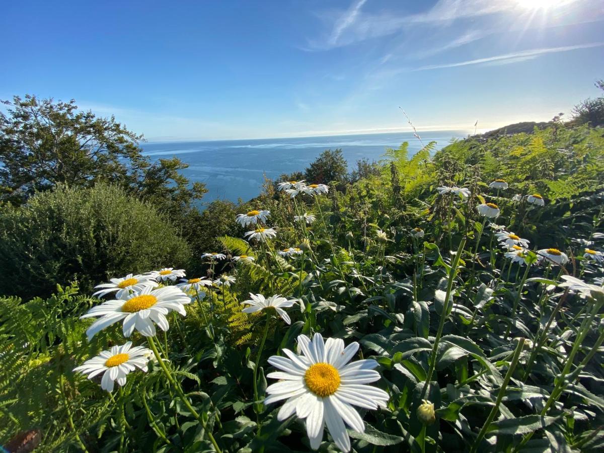 Rooms At Babbacombe Torquay Luaran gambar